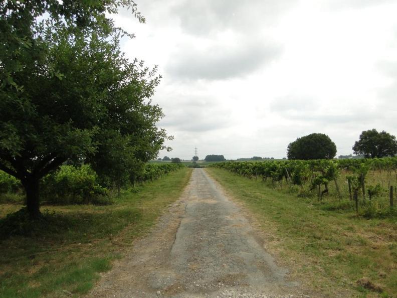 Chateau Monichot Organic Vineyard Tauriac  Екстериор снимка